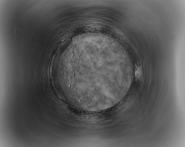 X0000088480819200706121529