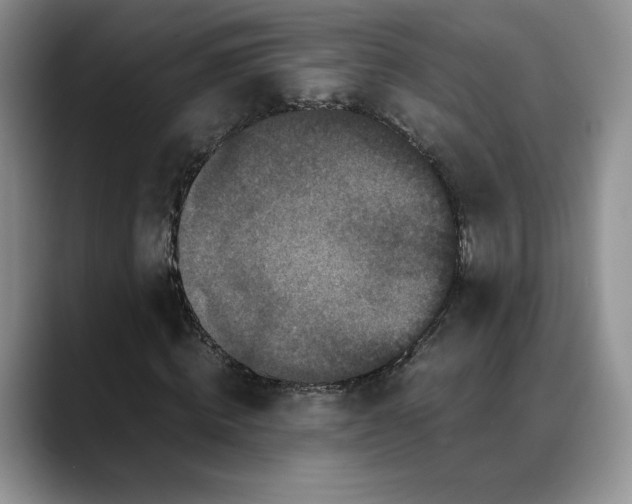 X0000088480820200706121529