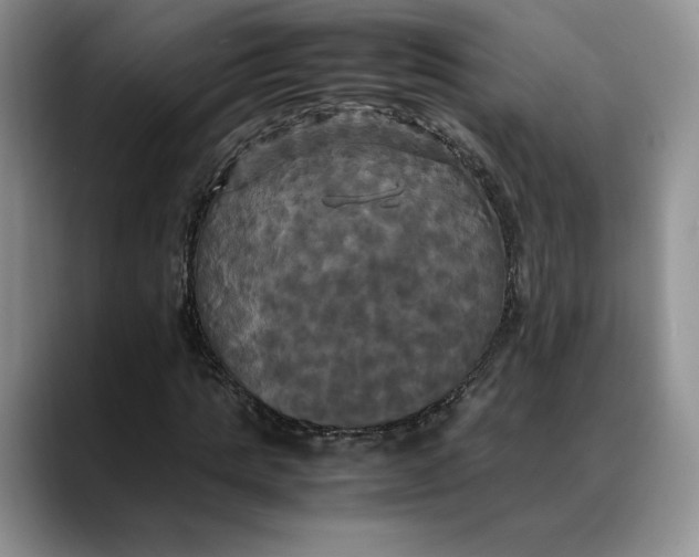X0000088480821200706121529
