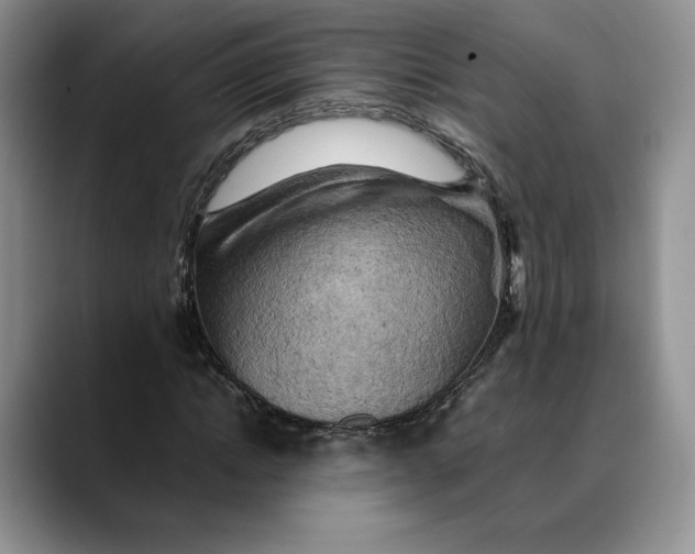 X0000088480822200706121529