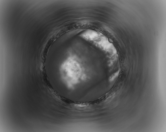 X0000088480823200706121529