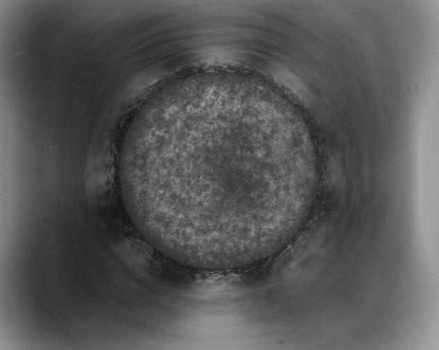 X0000088480824200706121529