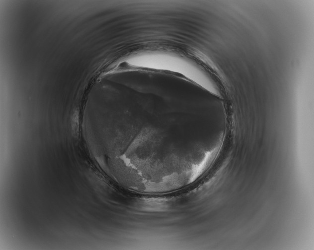 X0000088480825200706121529