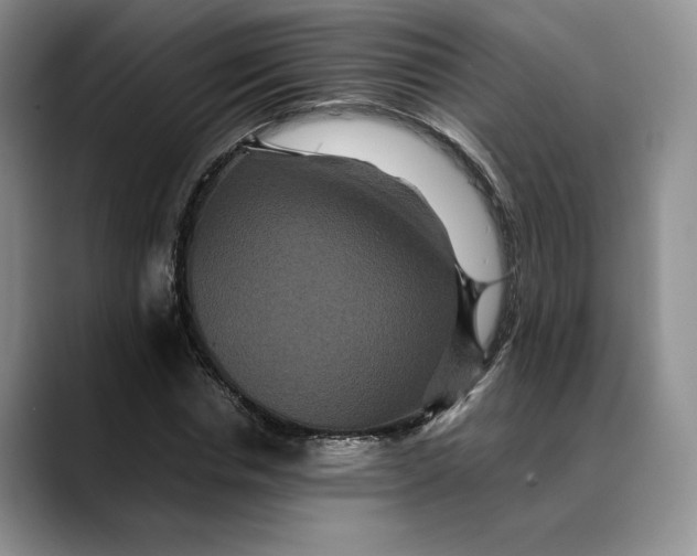 X0000088480826200706121529