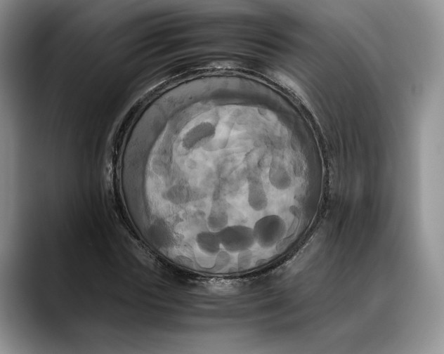X0000088480827200706121529