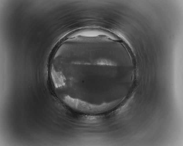 X0000088480829200706121529