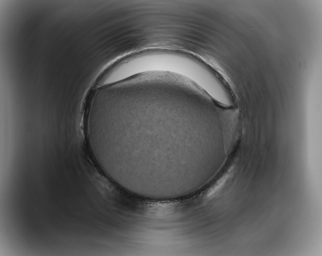 X0000088480830200706121529