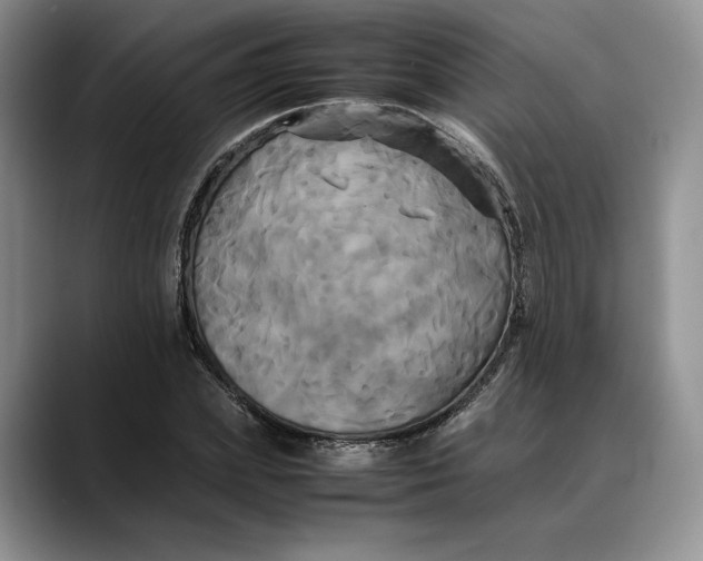 X0000088480831200706121529