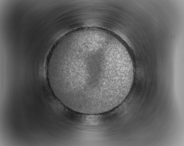 X0000088480832200706121529