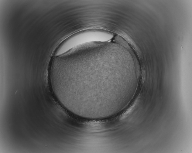 X0000088480834200706121529