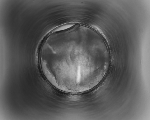 X0000088480835200706121529