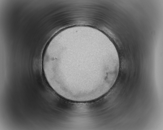X0000088480836200706121529