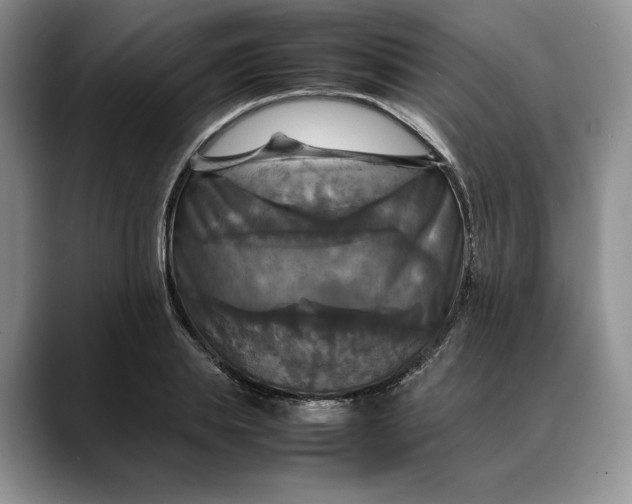 X0000088480839200706121529