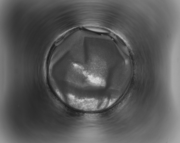 X0000088480840200706121529
