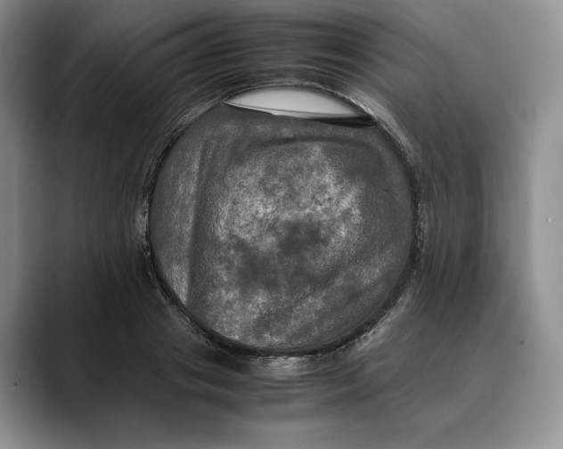X0000088480841200706121529