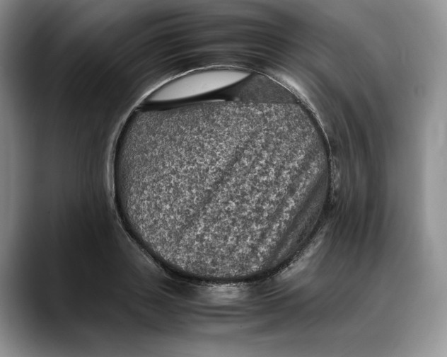 X0000088480843200706121529