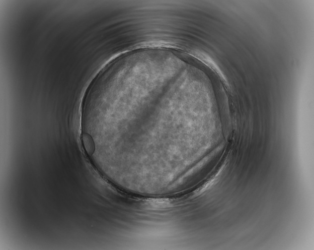 X0000088480844200706121529