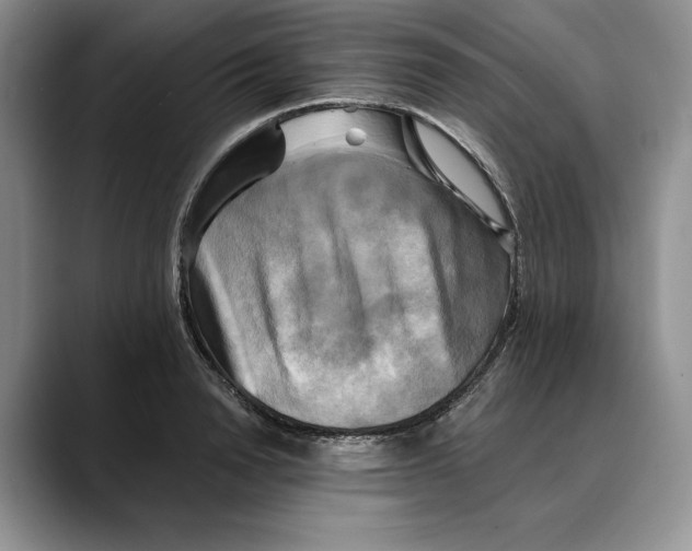 X0000088480846200706121529