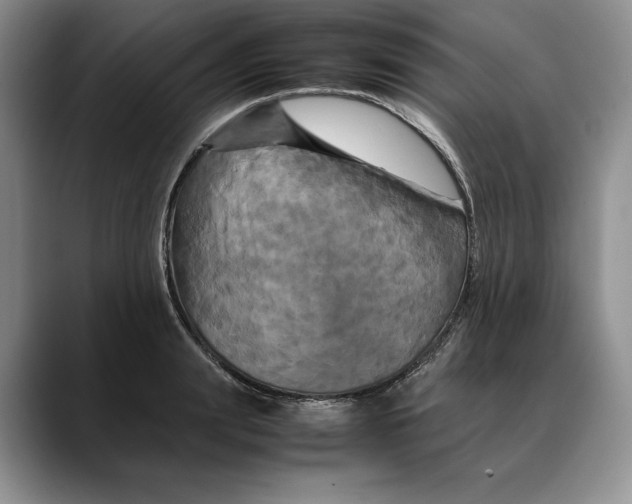 X0000088480847200706121529