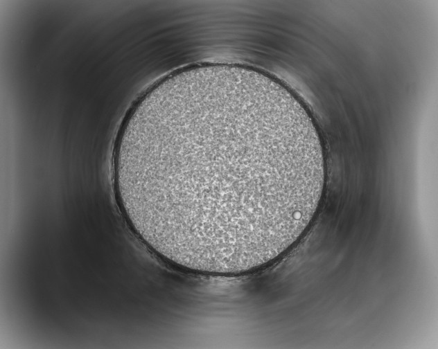 X0000088480848200706121529