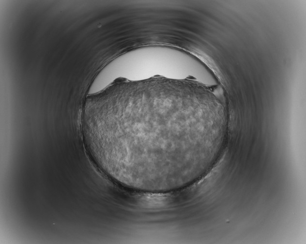 X0000088480849200706121529