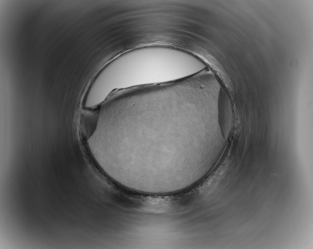 X0000088480850200706121529