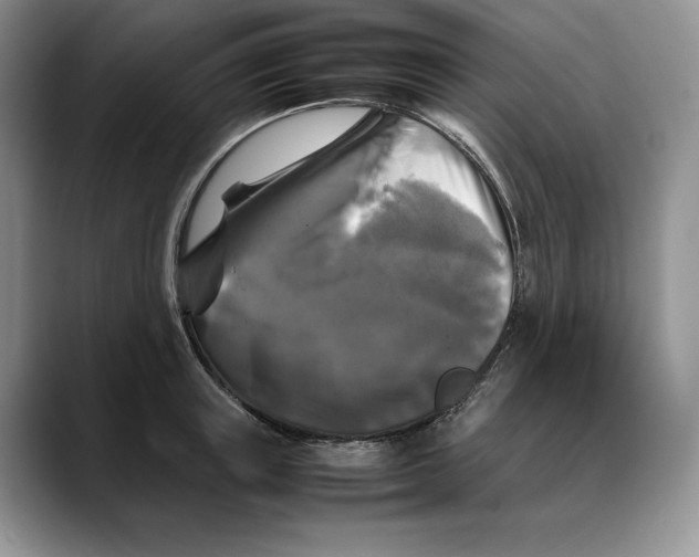 X0000088480851200706121529