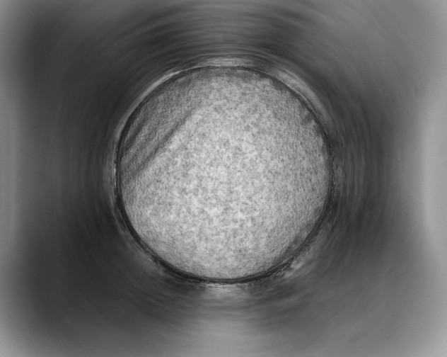 X0000088480852200706121529