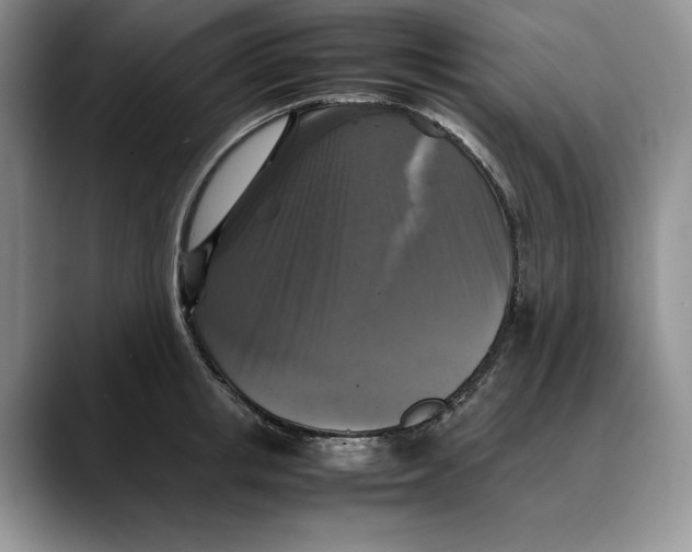 X0000088480853200706121529