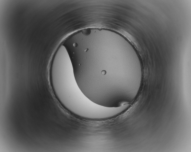 X0000088480854200706121529