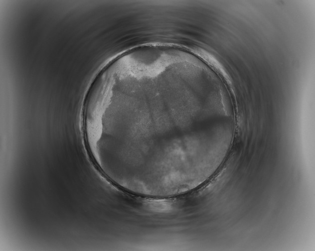 X0000088480855200706121529