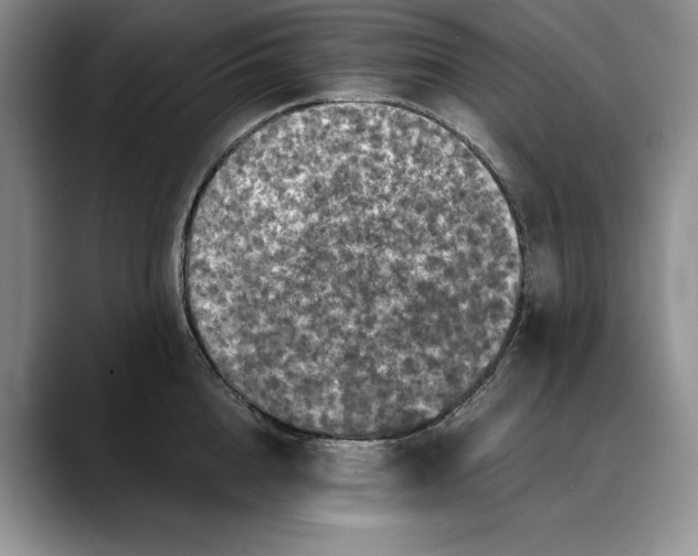 X0000088480856200706121529