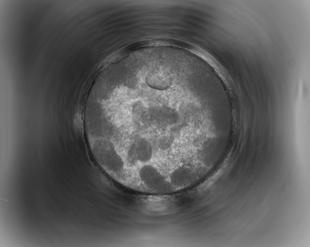 X0000088480857200706121529