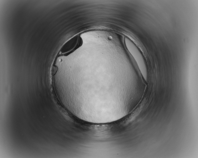 X0000088480858200706121529