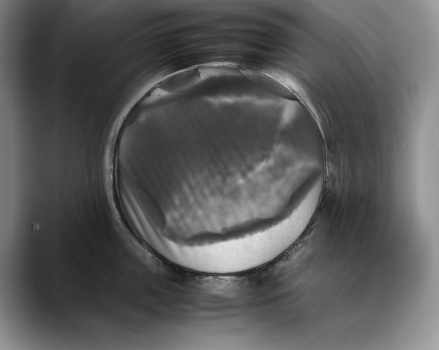 X0000088480859200706121529