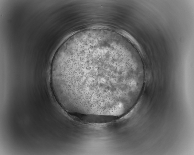 X0000088480860200706121529