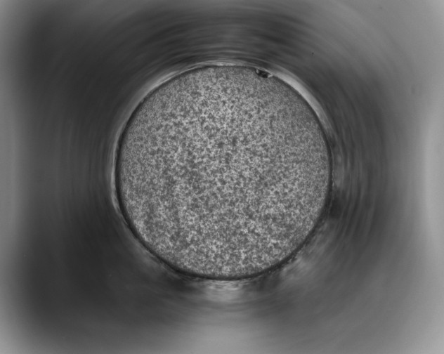 X0000088480861200706121529