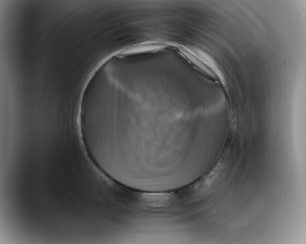 X0000088480863200706121529