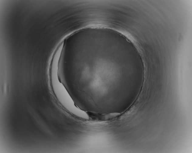 X0000088480864200706121529