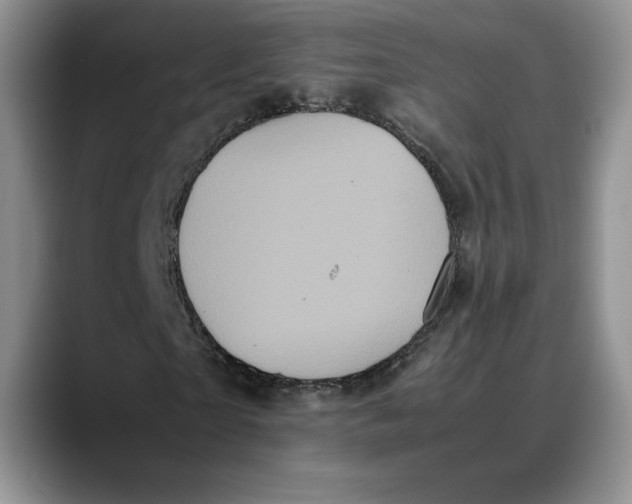 X0000088480865200706121529