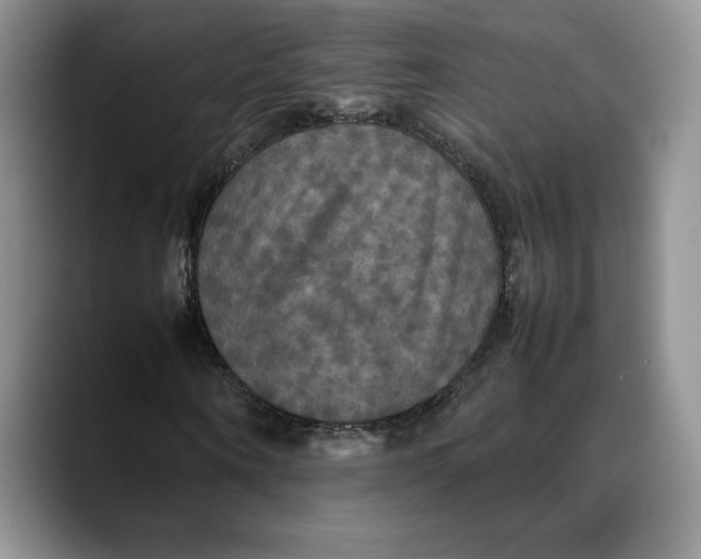 X0000088480866200706121529