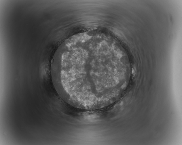 X0000088480867200706121529
