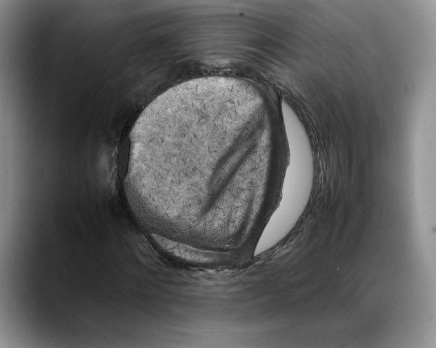 X0000088480868200706121529