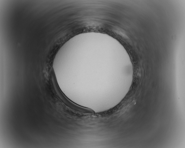 X0000088480869200706121529