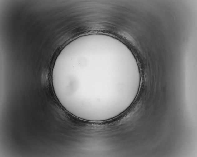 X0000088480873200706121529