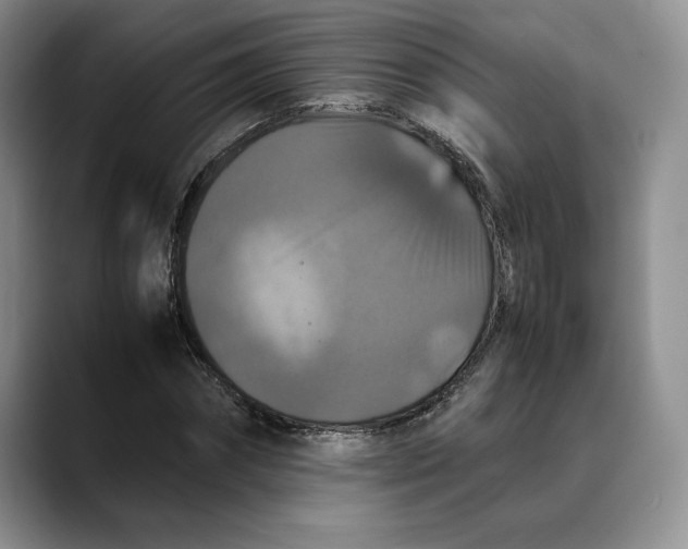 X0000088480874200706121529