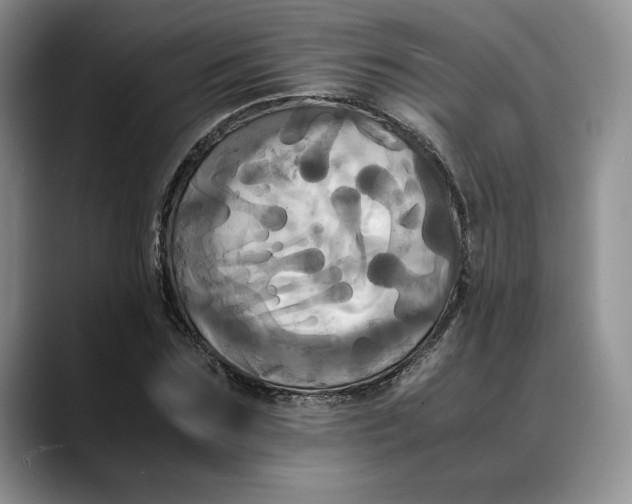 X0000088480875200706121529