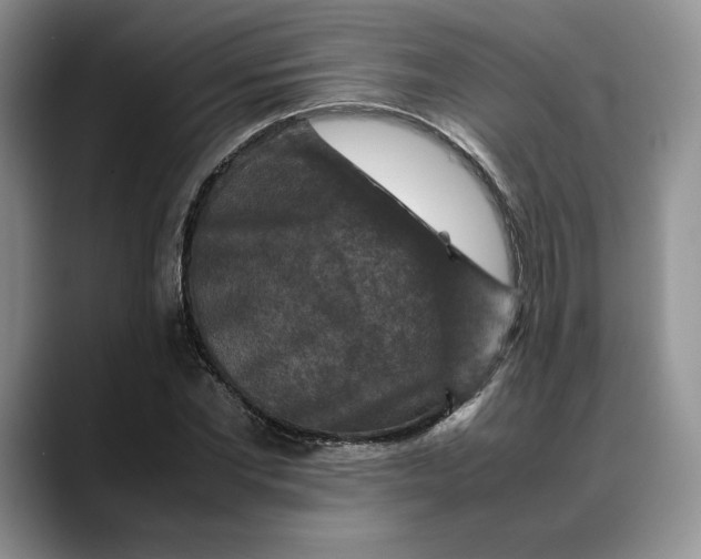 X0000088480877200706121529