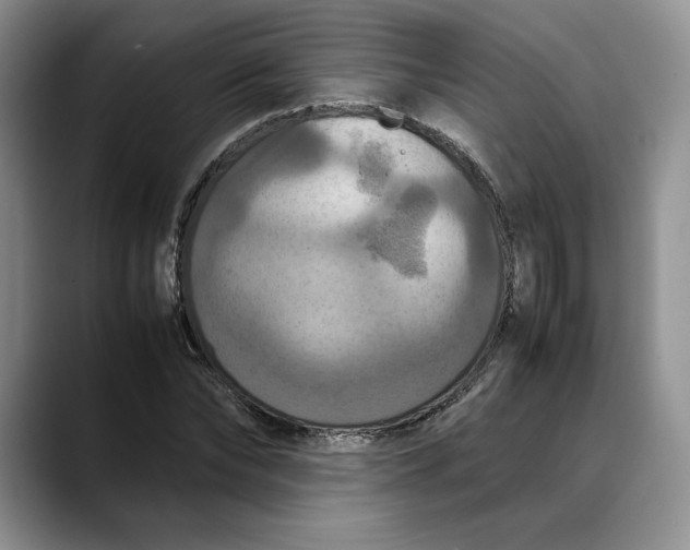 X0000088480878200706121529