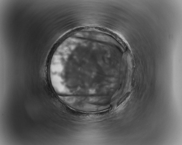 X0000088480879200706121529